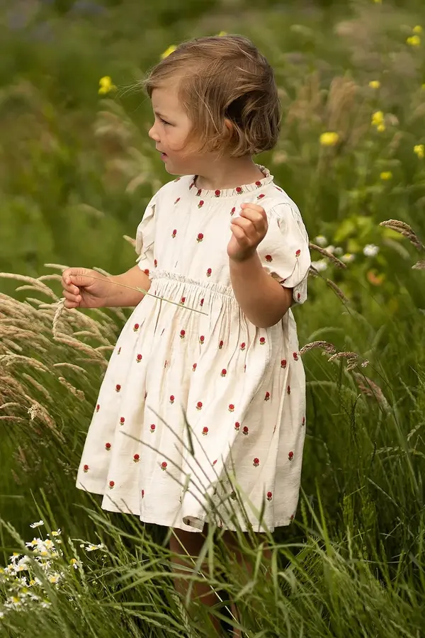 Donsje Donsje ljetna haljina Camilla Dress Red Roses