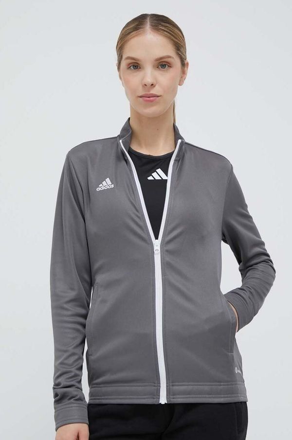 adidas Performance Dukserica za trening adidas Performance Entrada 22 boja: siva, glatka