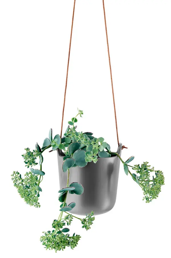 Eva Solo Eva Solo Lončanica s funkcijom samonavodnjavanja Eva Solo 15 x 16 cm