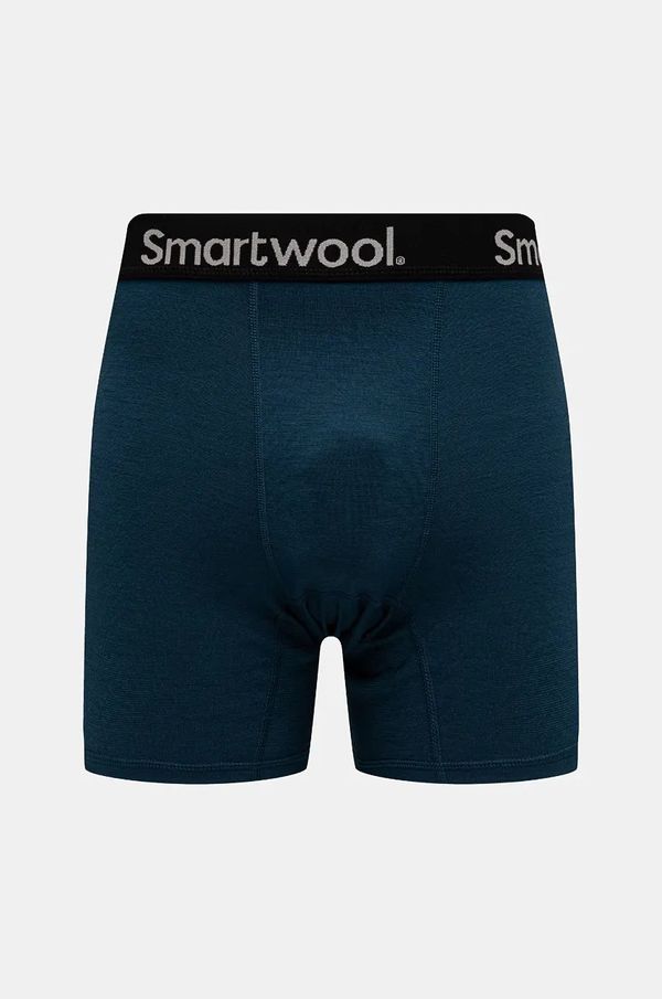 Smartwool Funkcionalno donje rublje Smartwool Active Boxer Brief Boxed boja: zelena, SW016996