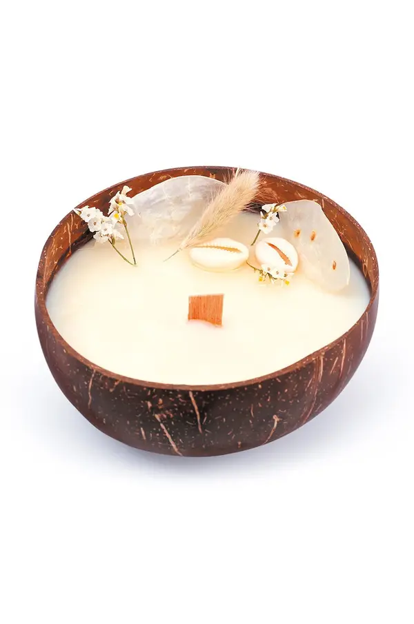 Graine Creative Graine Creative set DIY mirisna svijeća Coconut Candle