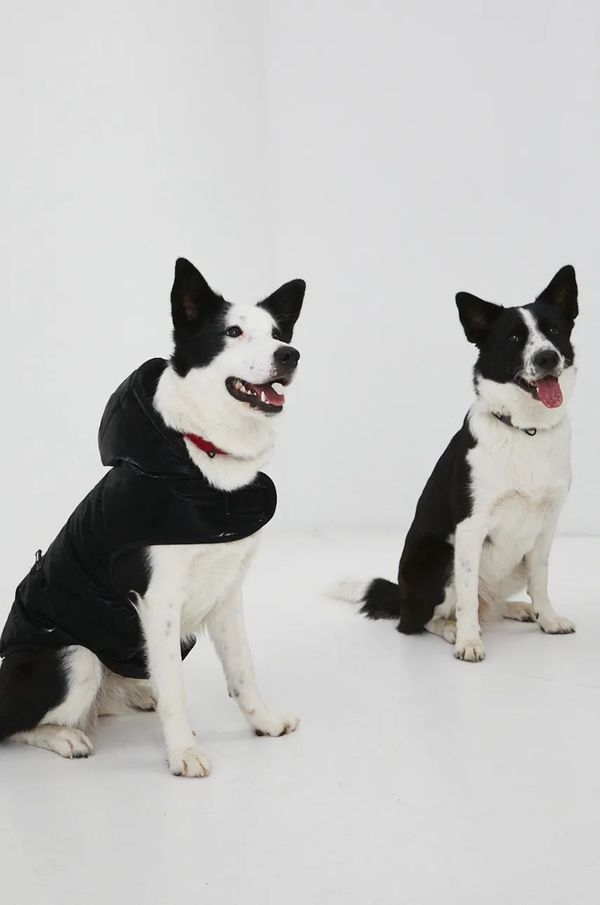 Medicine Jakna za kućne ljubimce Medicine