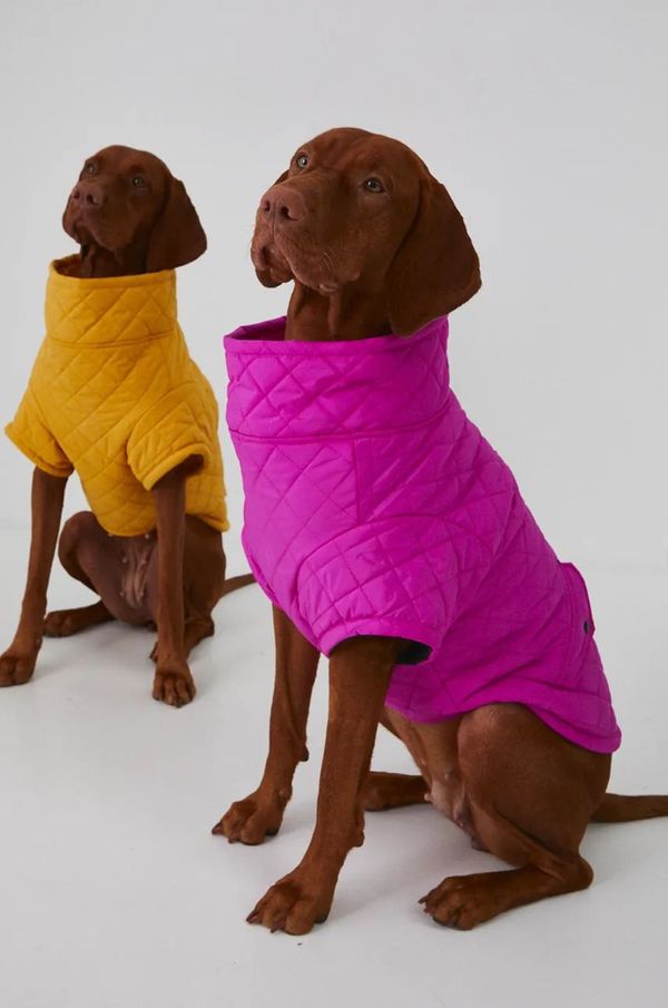 Medicine Jakna za kućne ljubimce Medicine