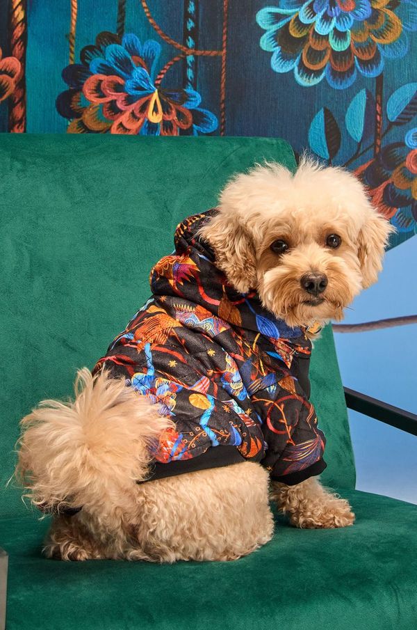 Medicine Jakna za kućne ljubimce Medicine