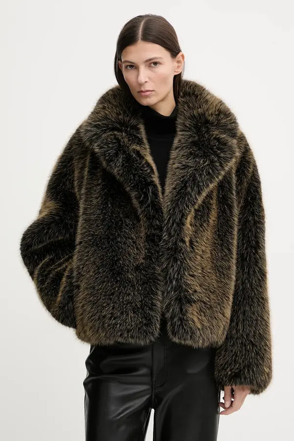 Stand Studio Kaput Stand Studio India