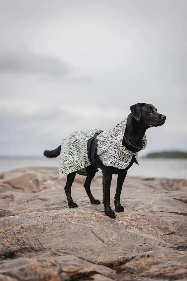 PAIKKA Kišni kaput za psa PAIKKA Raincoat 2.0 48 x 38 x 0,9 cm