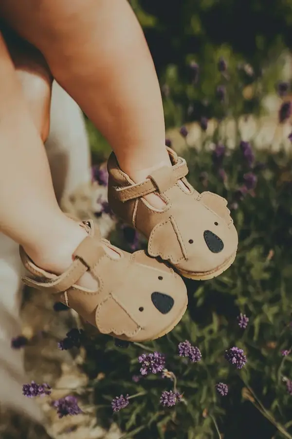 Donsje Kožne cipele za bebe Donsje Spark Classic Shoes Koala