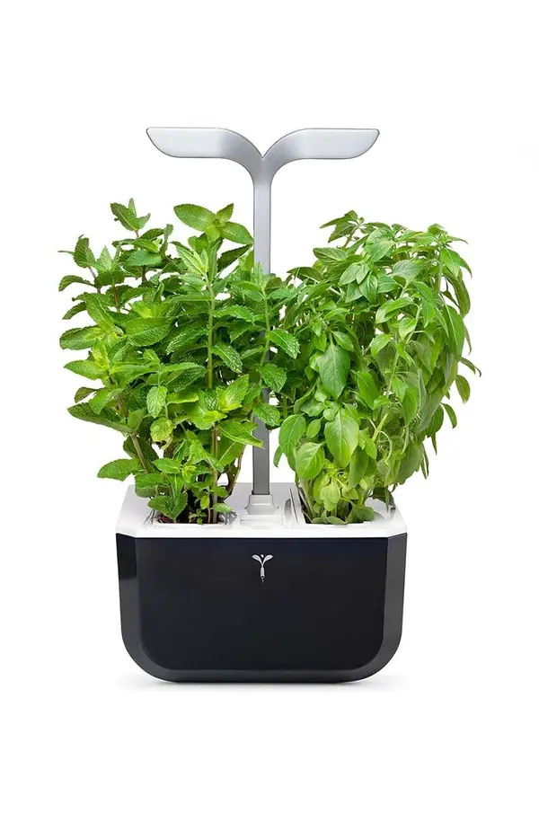 Veritable Kućni vrt Veritable Exky Smart 20 × 18 cm