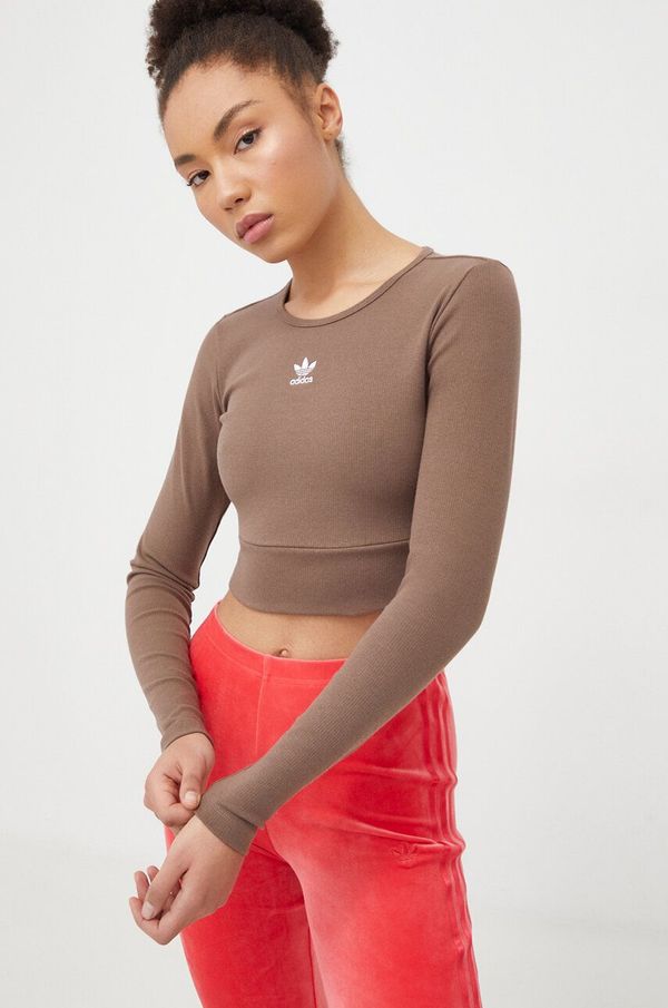 adidas Originals Majica dugih rukava adidas Originals za žene, boja: smeđa