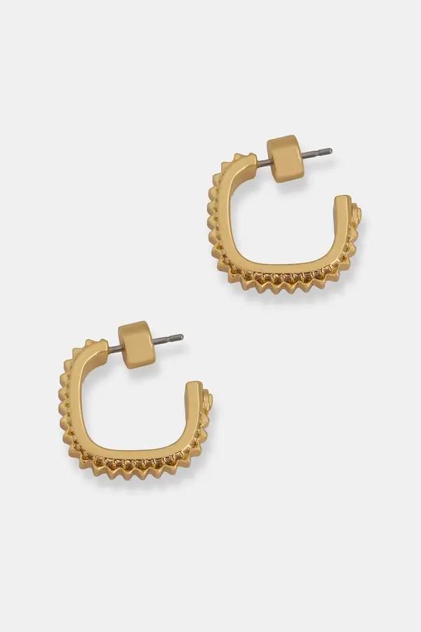 Michael Kors Michael Kors naušnice za žene pozlaćene s cirkonom