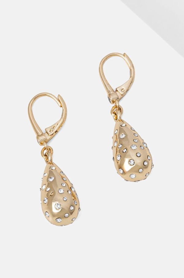 DKNY Naušnice Dkny 0 04G00661