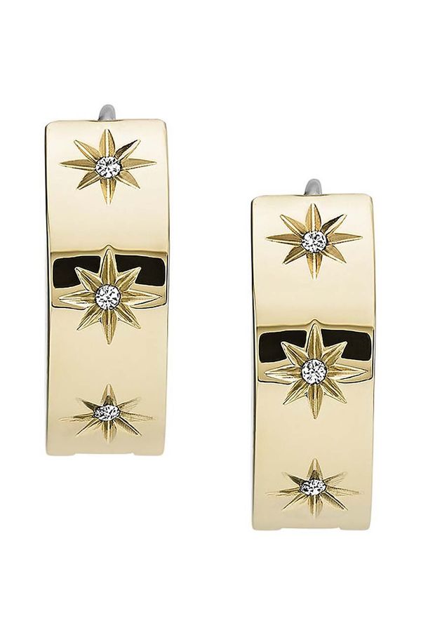 Fossil Naušnice Fossil