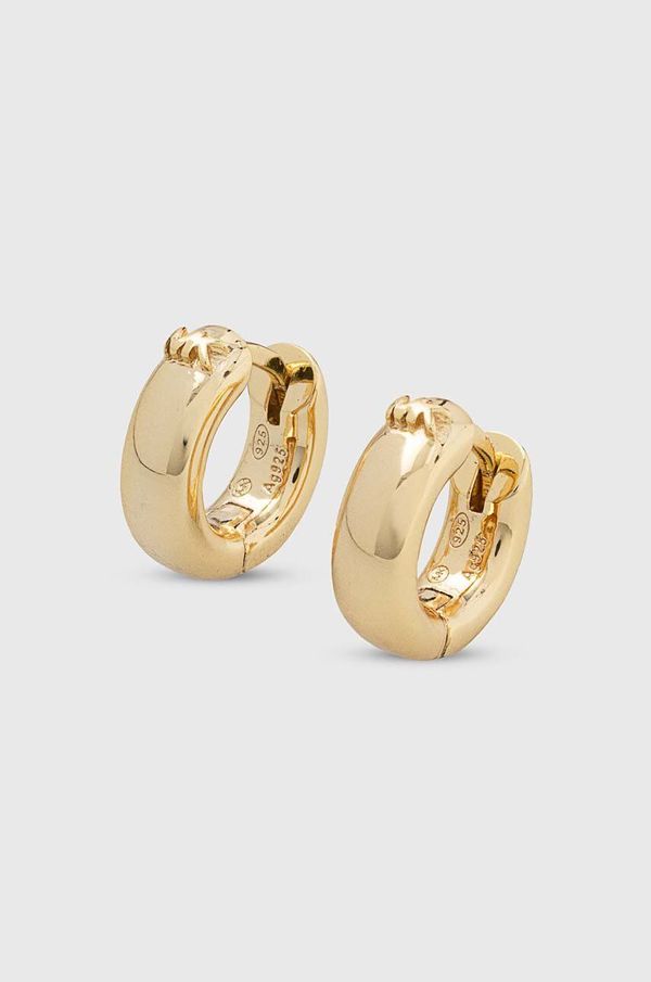 Michael Kors Naušnice Michael Kors