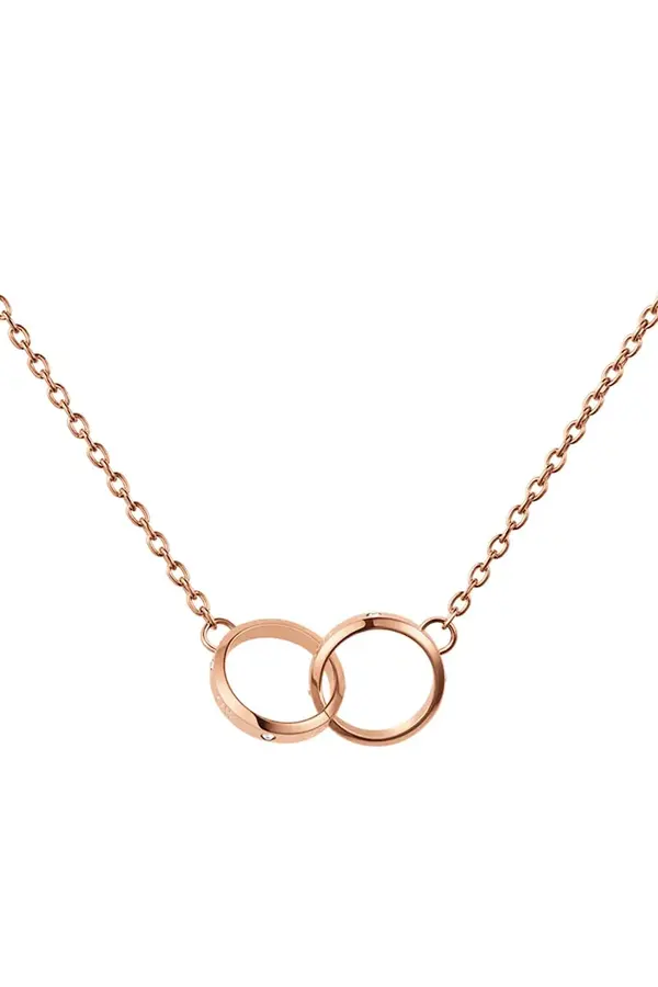 Daniel Wellington Ogrlica Daniel Wellington