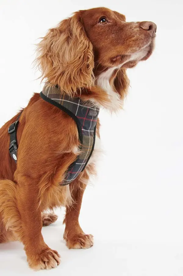 Barbour Orma za pse Barbour