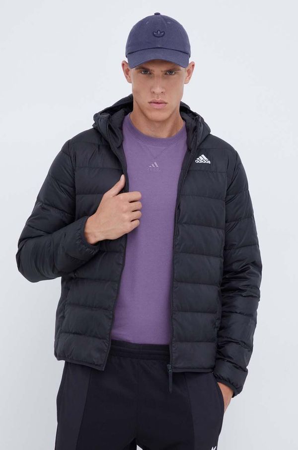 adidas Pernata jakna adidas za muškarce, boja: crna, za zimu