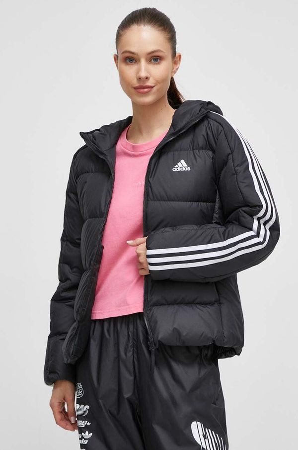 adidas Pernata jakna adidas za žene, boja: crna, za zimu