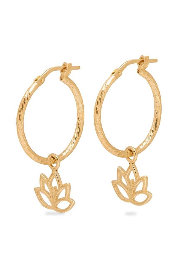 ANIA KRUK Pozlaćene srebrne naušnice ANIA KRUK Hippie