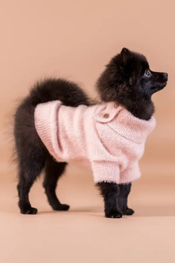 PAIKKA Pulover za psa PAIKKA Furry Knit Sweater 45 x 20 x 1,9 cm