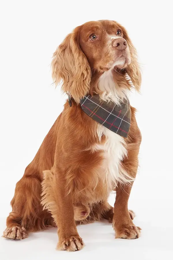 Barbour Rubac za kućnog ljubimca Barbour Tartan Dog