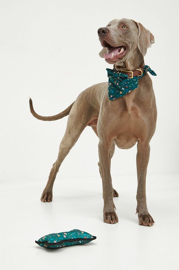 Medicine Set za ljubimca Medicine