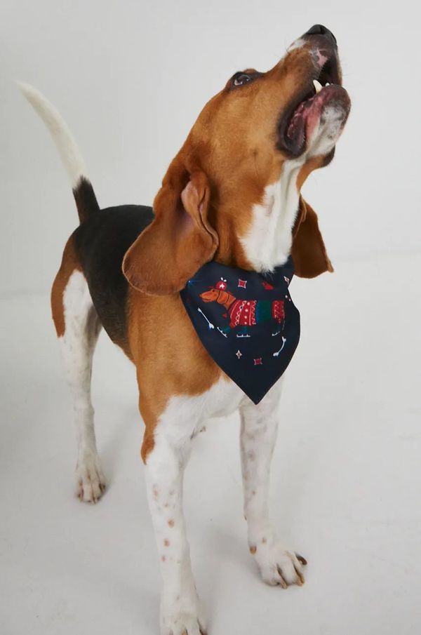 Medicine Set za ljubimca Medicine