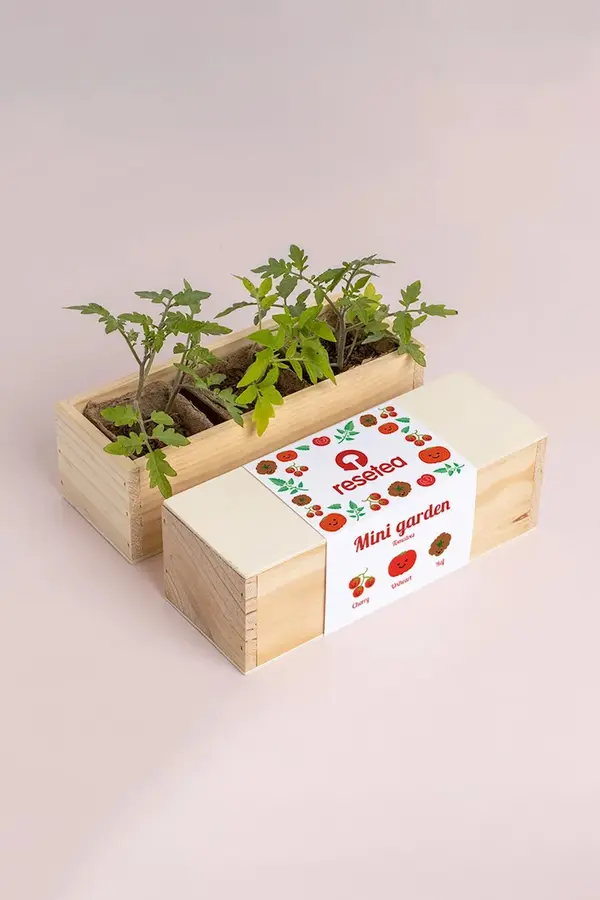 Resetea Set za uzgoj biljaka RESETEA Mini garden Tomatoes 21 x 7,8 x 6,5 cm
