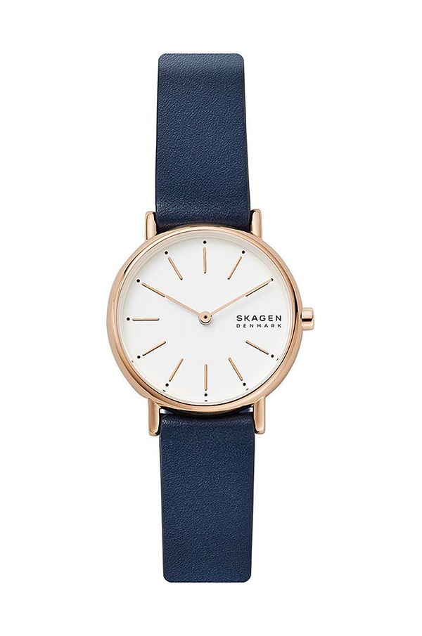 Skagen Skagen - Sat SKW2838