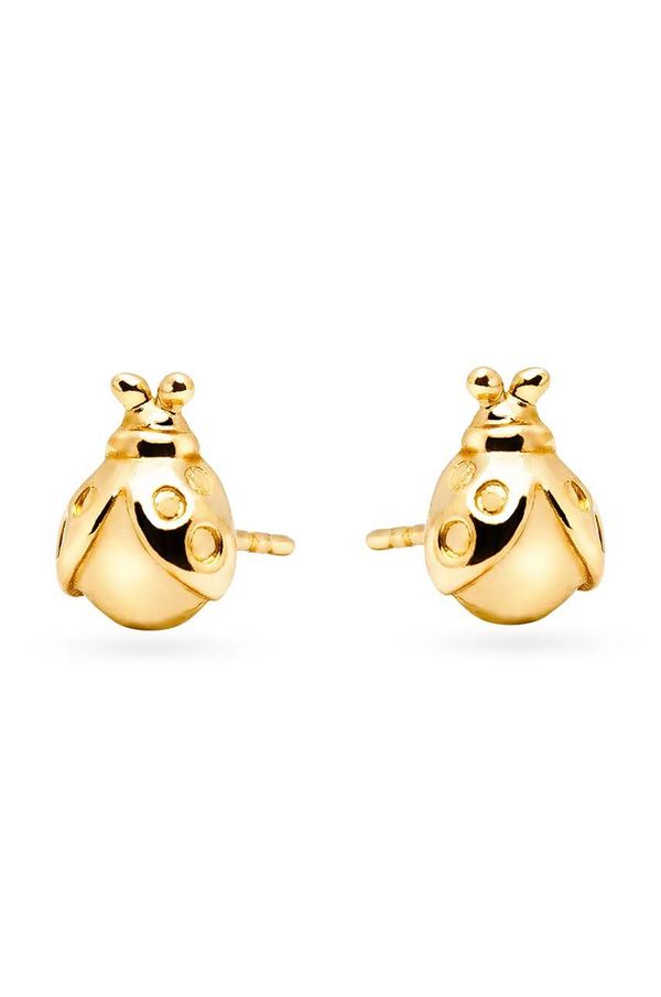 ANIA KRUK Srebrne naušnice presvučene zlatom ANIA KRUK BELIEVE SAKKS2400Z