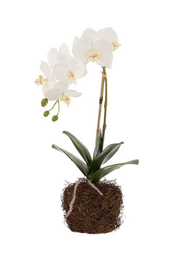 J-Line Umjetna biljka J-Line Orchid In Soil