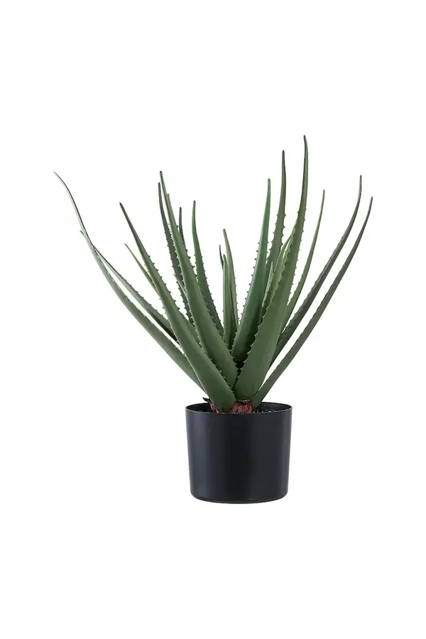 House Nordic Umjetna biljka u lončanici House Nordic Aloe Vera