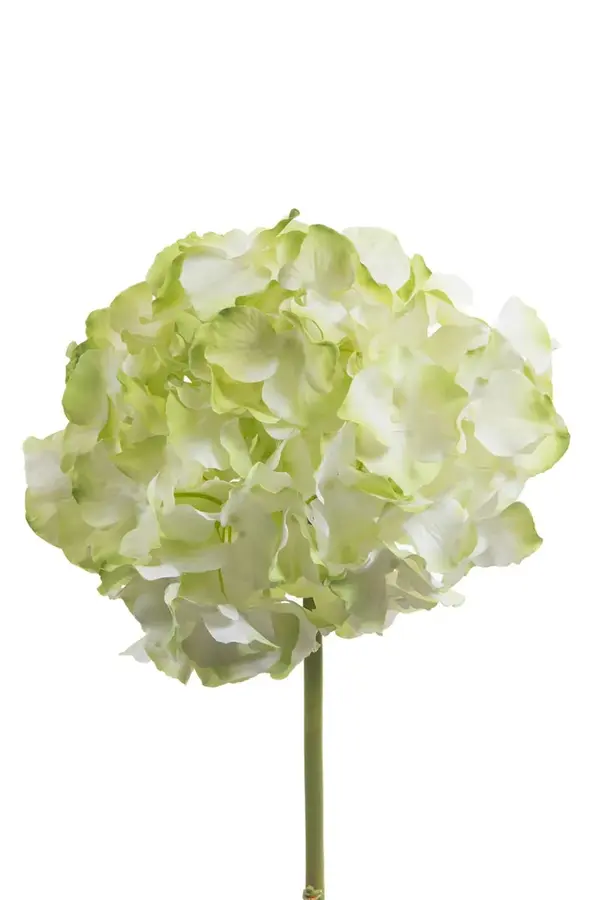 Umjetni cvijet home & lifestyle 48 cm Umjetni cvijet home & lifestyle 48 cm
