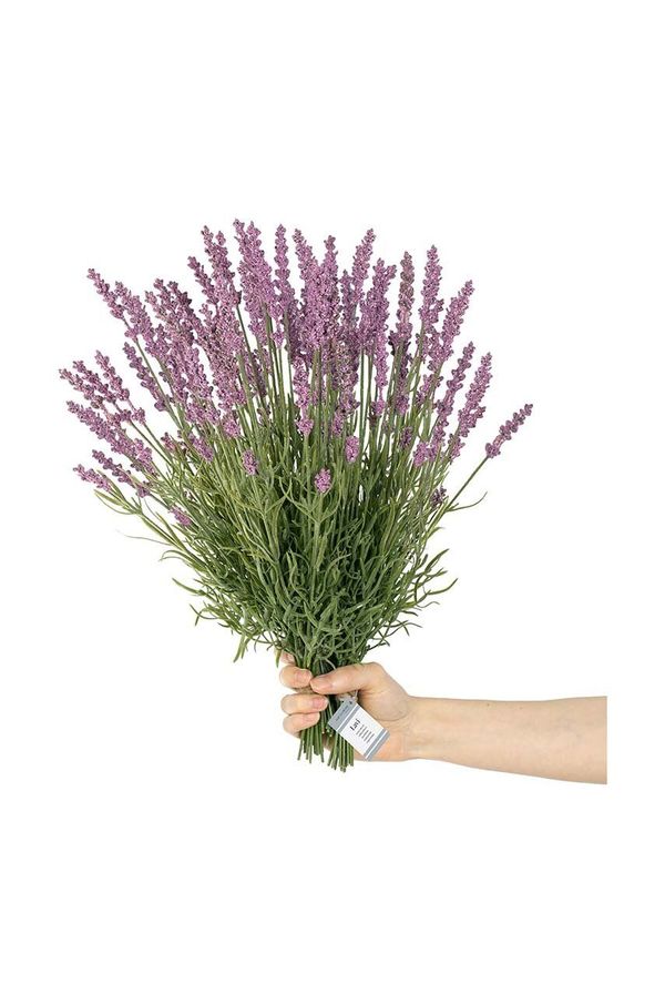 Inne Umjetno cvijeće Lawenda 10-pack