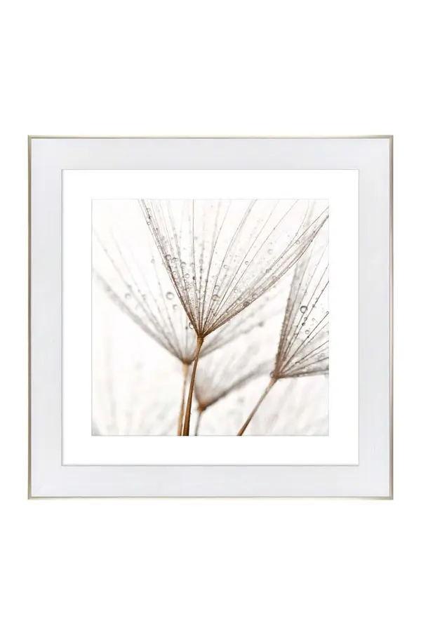 Uokvirena reprodukcija na papiru 50x50 cm Uokvirena reprodukcija na papiru 50x50 cm