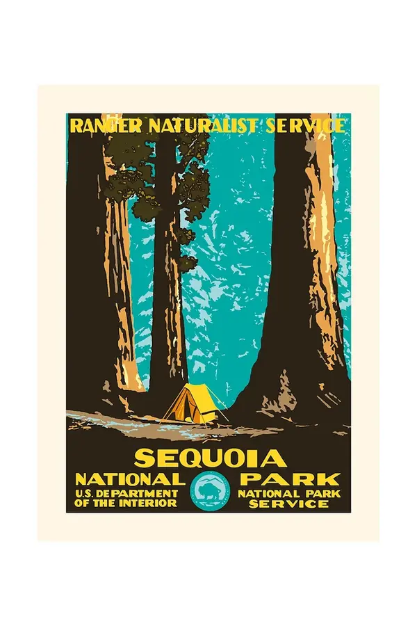 PLAKAT Zidni ukras PLAKAT Sequoia 30 x 40 cm
