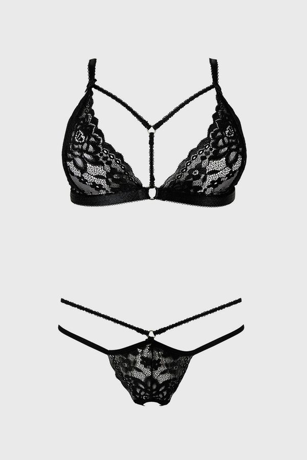 Anais Komplet Alcyone