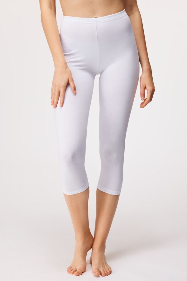 Jadea Tajice Velia Capri