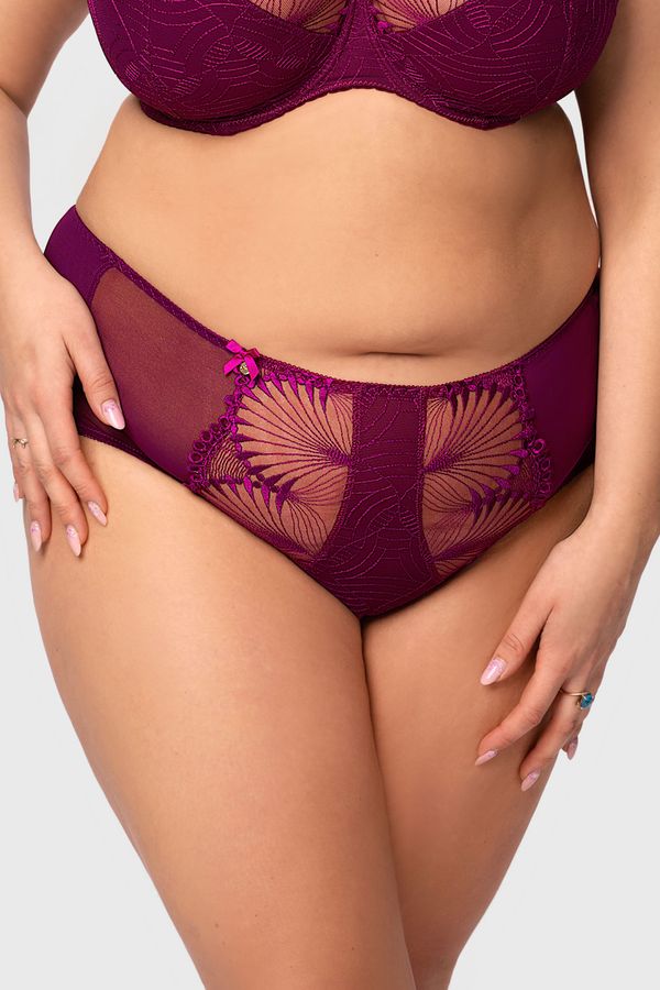 Nessa Gaćice Selena klasične s povišenim strukom