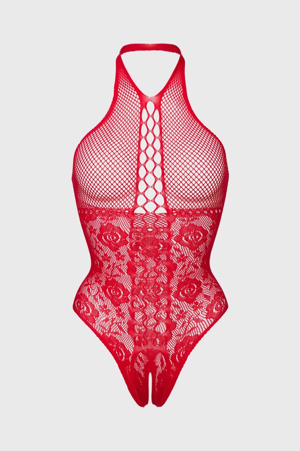 Passion Erotski bodystocking Alicja s otvorenim međunožjem