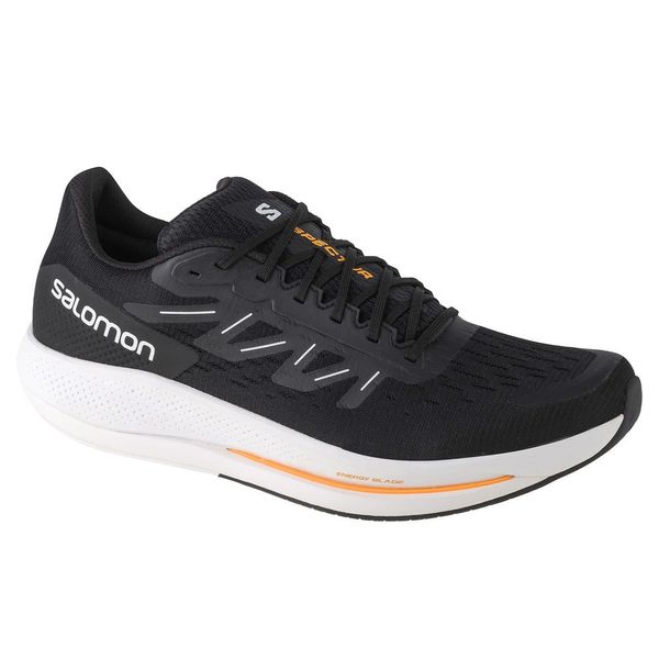 Salomon Salomon spectur 415896