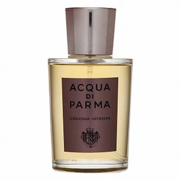 Acqua di Parma Acqua di Parma Colonia Intensia kolonjska voda za muškarce 100 ml