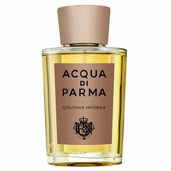 Acqua di Parma Acqua di Parma Colonia Intensia kolonjska voda za muškarce 180 ml