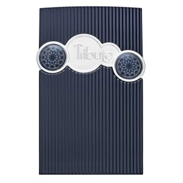 Afnan Afnan Tribute Blue parfémovaná voda za muškarce 100 ml
