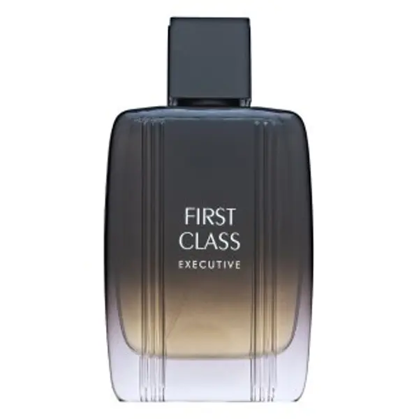 Aigner Aigner First Class Executive toaletna voda za muškarce 100 ml