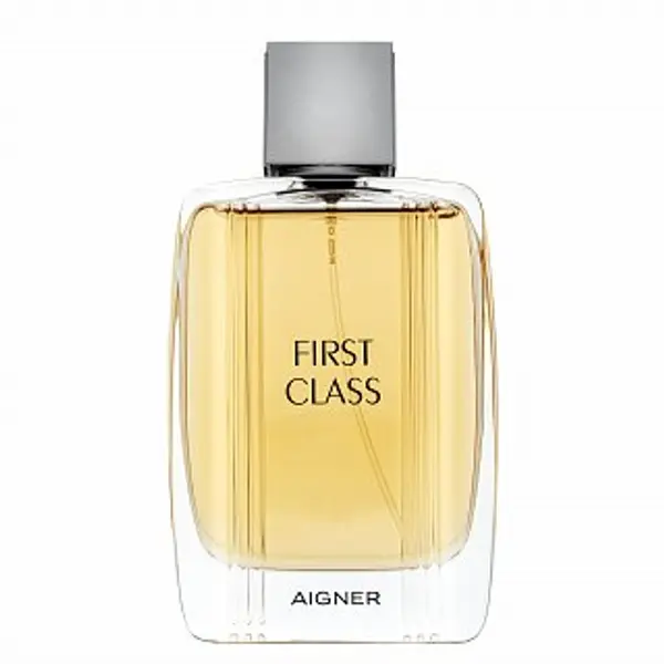 Aigner Aigner First Class toaletna voda za muškarce 100 ml