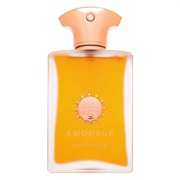 Amouage Amouage Overture parfemska voda za muškarce 100 ml