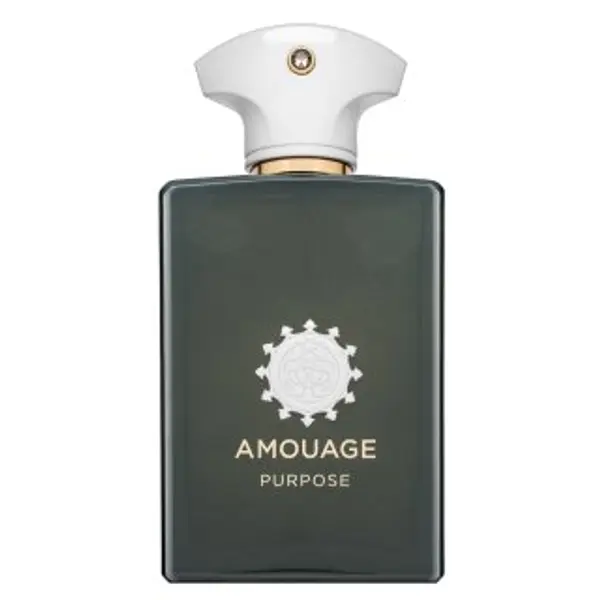Amouage Amouage Purpose parfemska voda unisex 100 ml