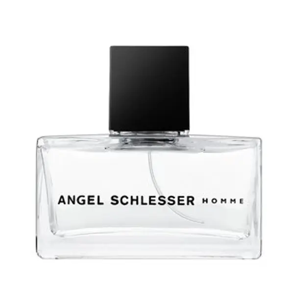Angel Schlesser Angel Schlesser Homme toaletna voda za muškarce 75 ml