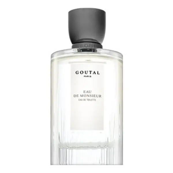 Annick Goutal Annick Goutal Eau De Monsieur toaletna voda za muškarce 100 ml