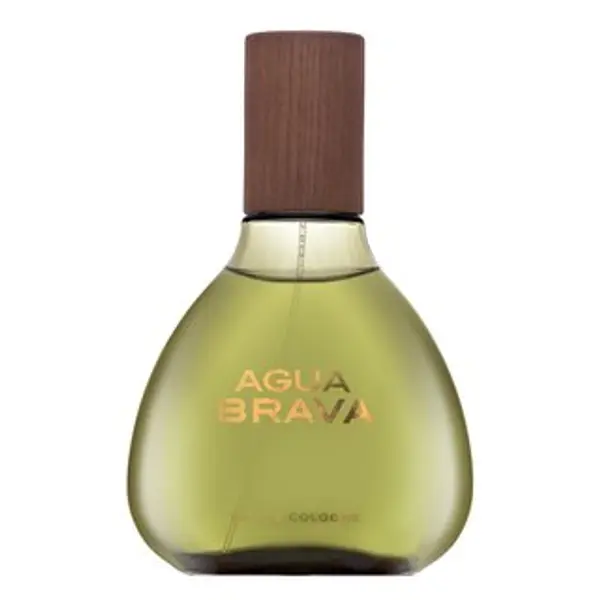Antonio Puig Antonio Puig Agua Brava kolonjska voda za muškarce 100 ml
